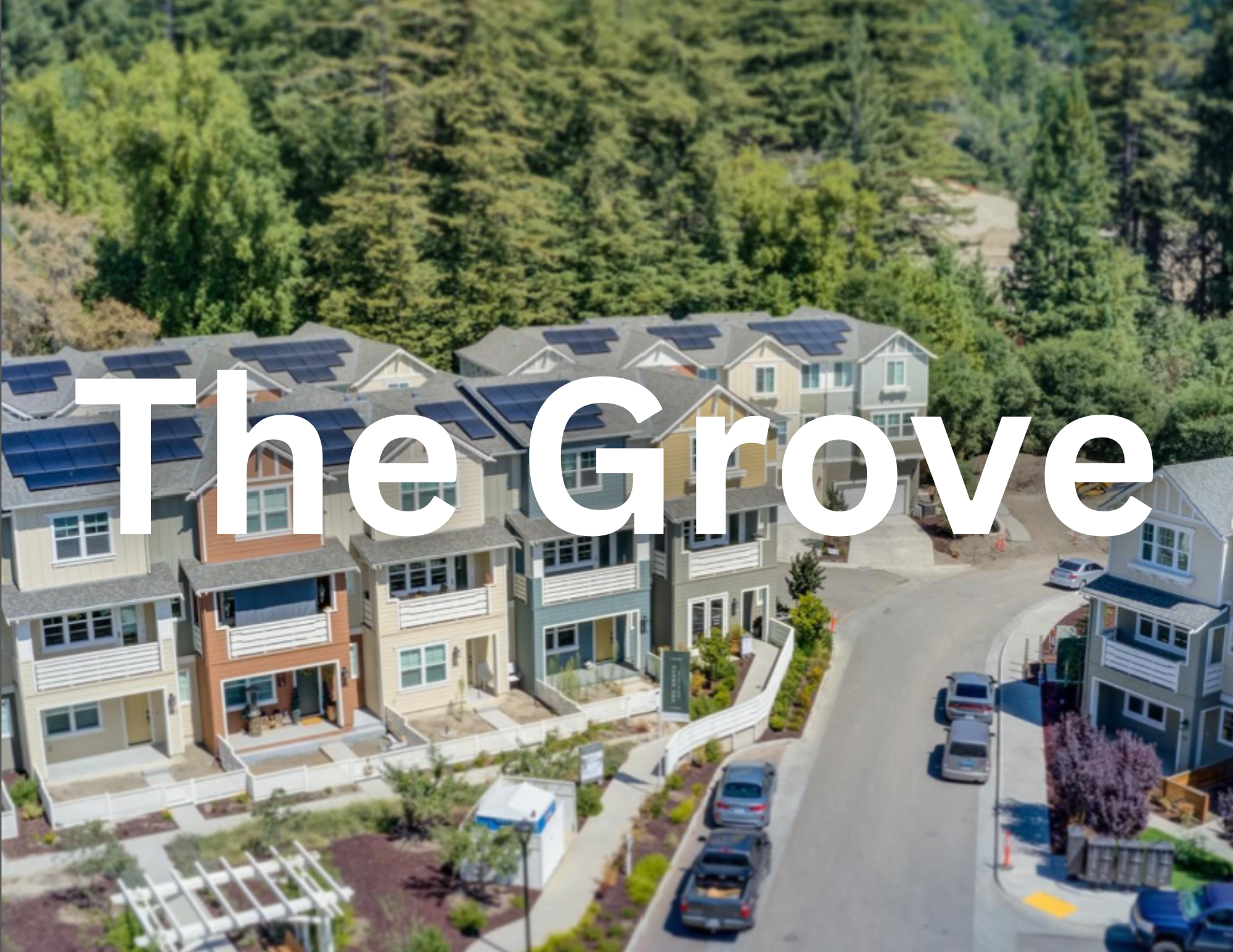 The Grove (2)